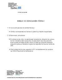 Plan d'intervention : Risque de convulsion fébrile