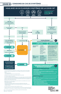 Affiche : Consignes en cas de symptômes