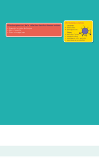 Affiche : La rédaction dans les réseaux sociaux - les bonnes pratiques en un ;)